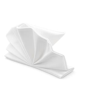 White Napkin