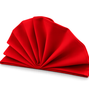 Red Napkin